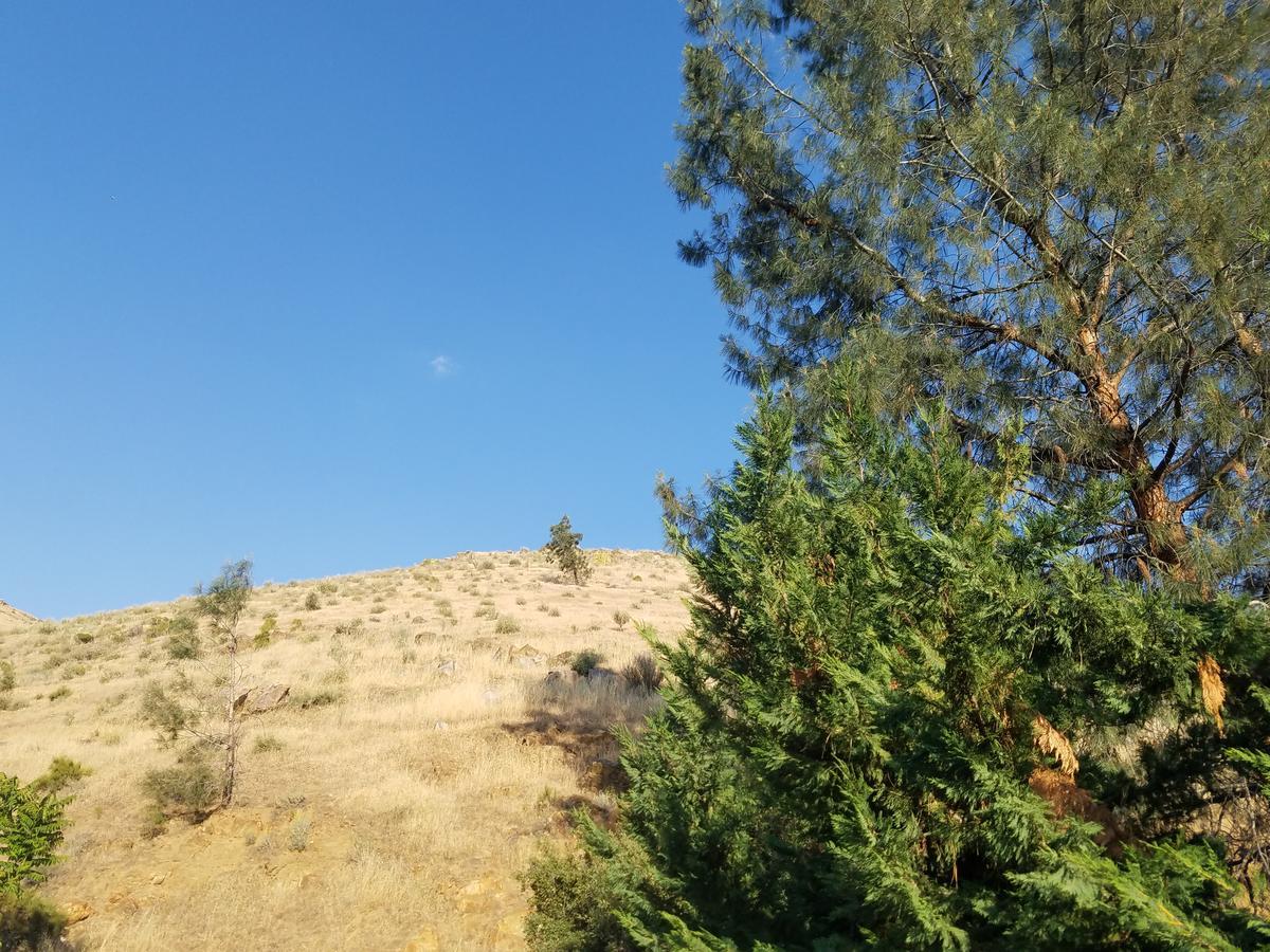 Sacred Mtn River Suites Kernville Εξωτερικό φωτογραφία